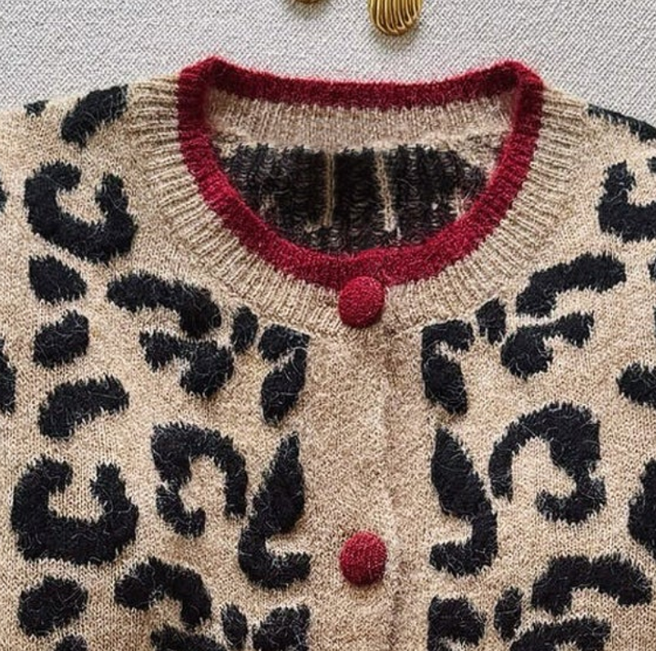 Noa | Brown Leopard Print Cardigan