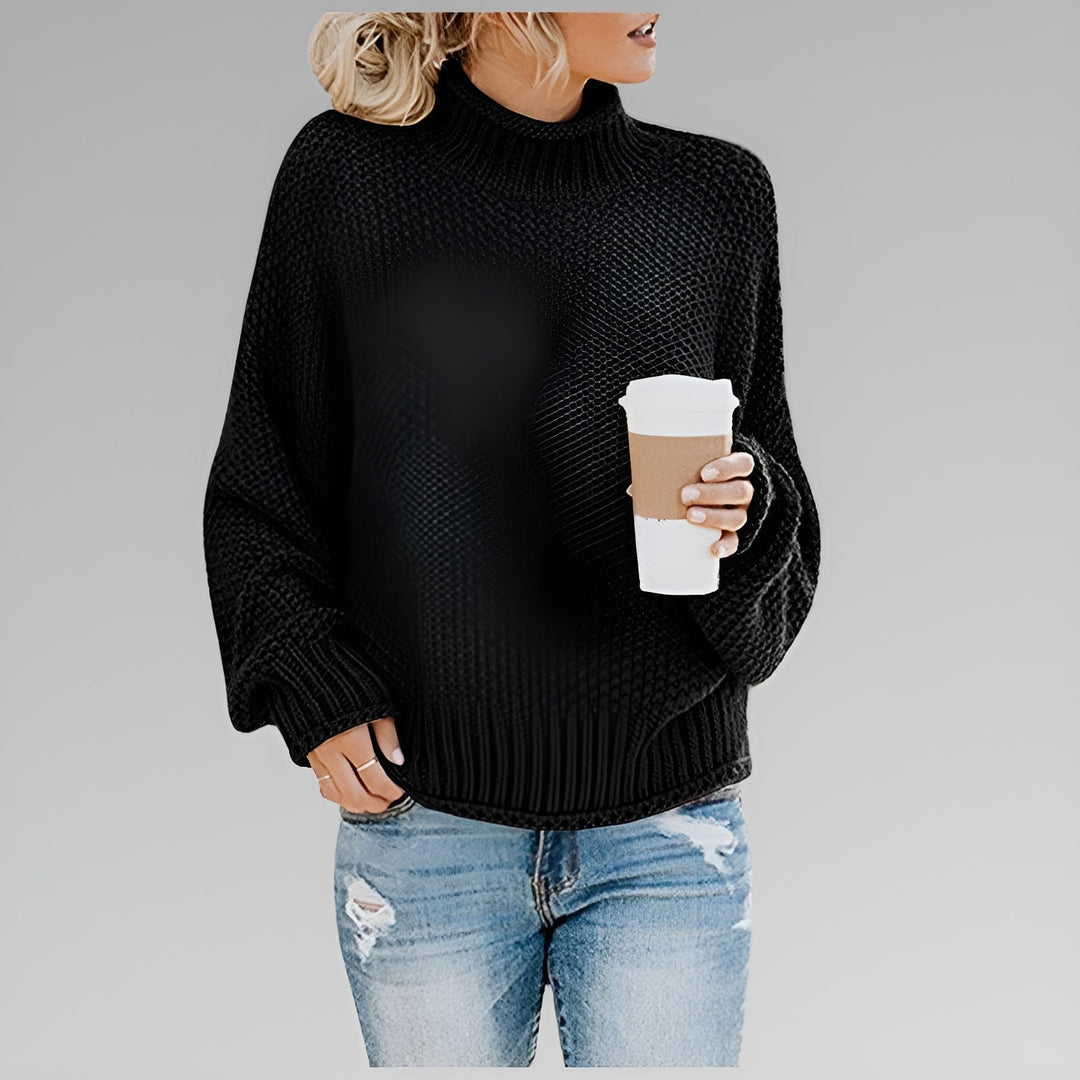 Sophie | Chunky Knit Turtleneck Sweater